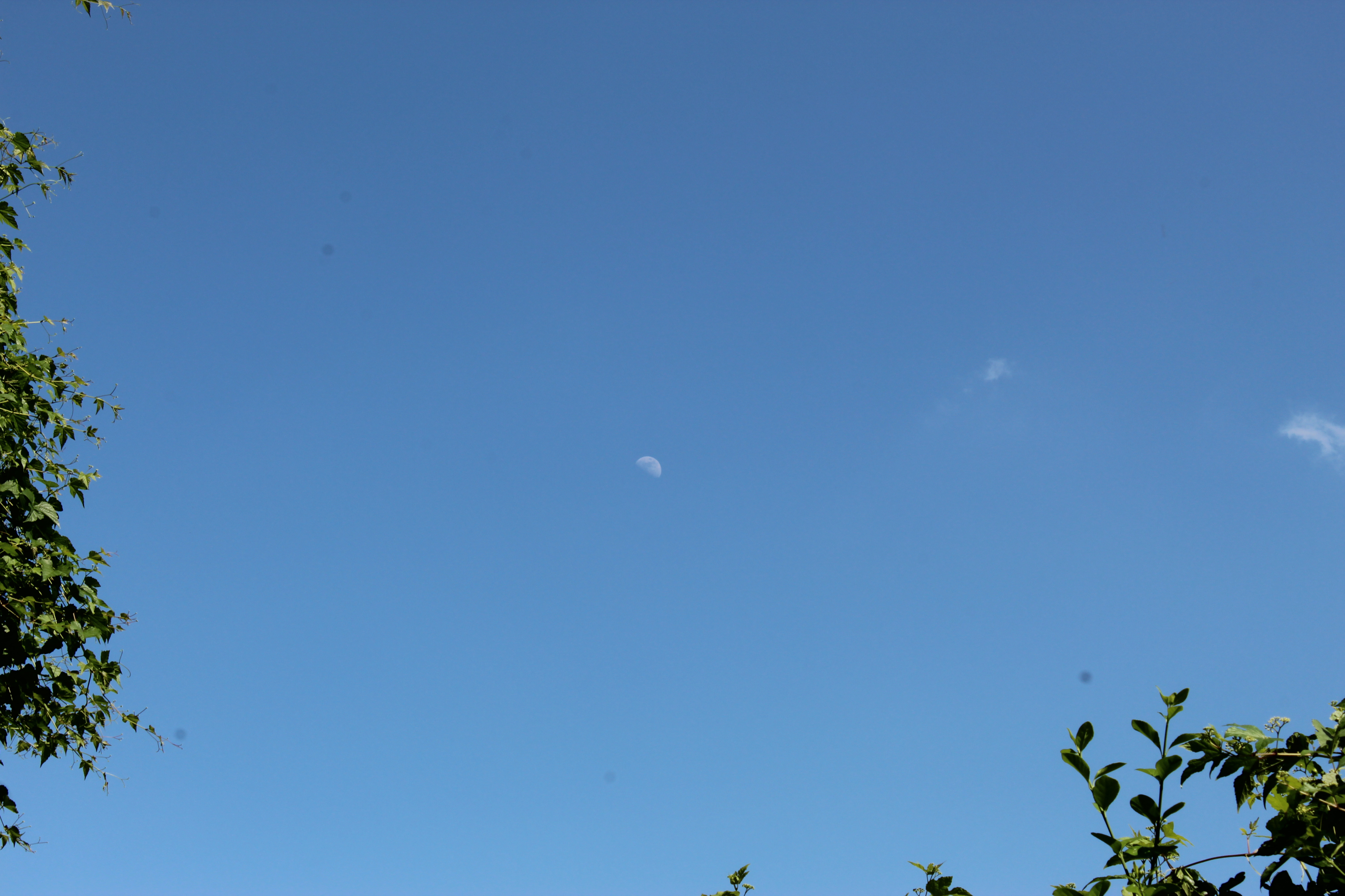 Astrophoto 53