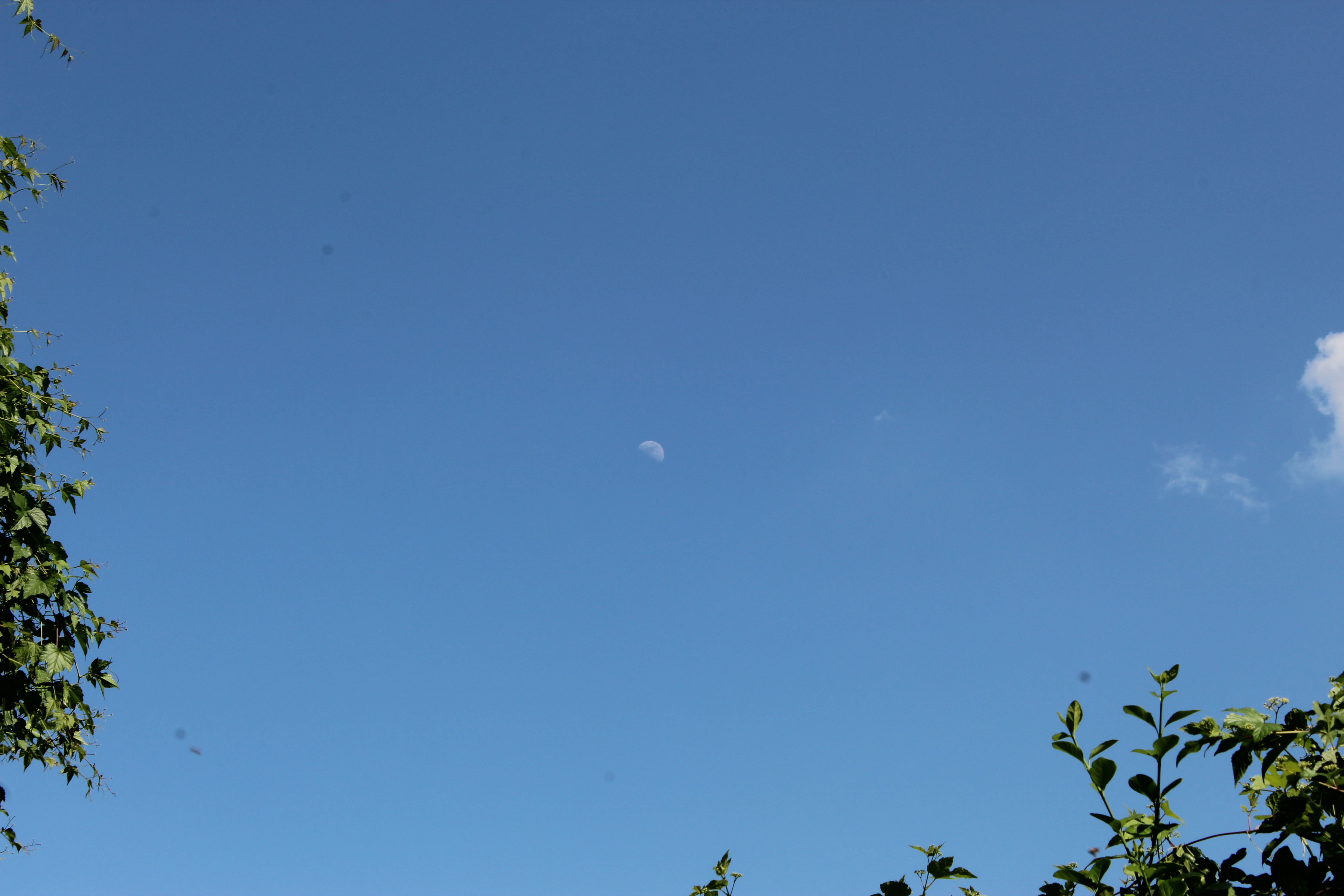 Astrophoto 55